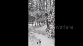US: Spring Nor’easter Dumps Heavy Snow In Northeast Causing Widespread Power Outages 2