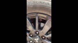 Kitten stuck in alloy wheel rescued by driver in Thailand