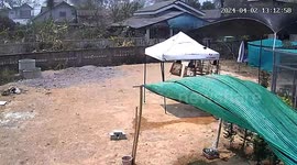 Sudden gust of wind blows away garden tents