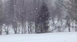 US: Spring Nor’easter Dumps Heavy Snow In Northeast Causing Widespread Power Outages 4