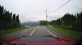 Car runs stop sign