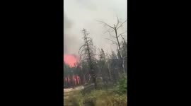 Up close on a forest fire.