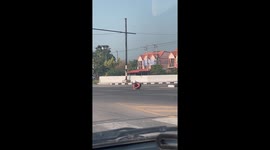 Motorcycle rider saves injured kitten at busy junction