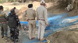 Leopard cubs rescued after they fell into pit in cowshed in central India