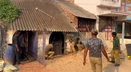 Sloth bear creates stir as it enters village in south India