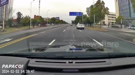 Pig falls out of a car on a highway in China
