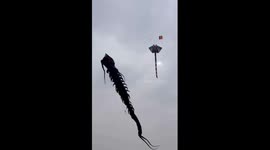 Senior citizen spotted flying giant kite shaped like centipede