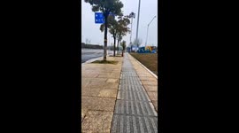 Owner Unexpected Reunion with Dog at the High-Speed Railway Station in China