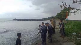 The police guarding the Padang beach released the turtle back into the sea because it had been stranded