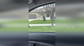 Policeman rugby tackles escaped pig in Utah