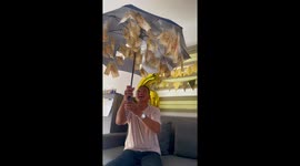 Sons make birthday surprise for father with money hidden in umbrella