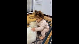 Adorable moment: child's sweet kiss to beloved cat captured in heartwarming video