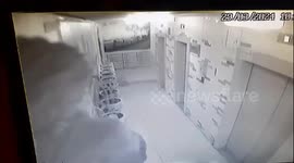 Quick-thinking concierge saves dog from strangulation in Moscow elevator