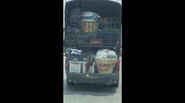 Wild monkey steals food from the back of moving truck
