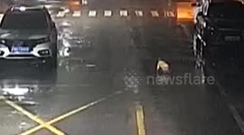 Heroic passersby save 6-month-old baby crawling on busy road in eastern China