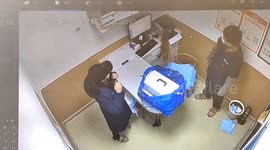 Two cats turn vet visit upside down in wild escape attempt in China
