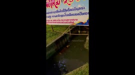 Locals rescue dog stuck in canal in Thailand