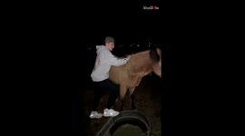 Young man discovers the challenges and charm of horseback riding