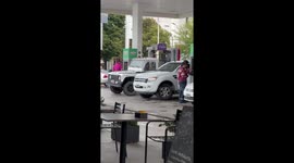 Video captures joyful dog dancing in a car in Tandil, Argentina