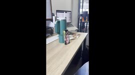 Woman Video Chats With Her Boss While at Salon