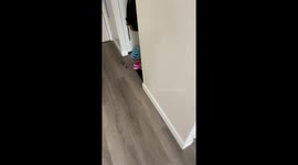 Black Cat Lounges With Legs Stretched Out