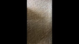 Dad Adorably Plays With Daughter