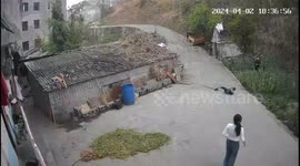 Curious child plays with a shovel resulting in self-inflicted pain in China