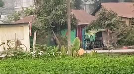 Escaped buffalo gores local trying to catch the animal in India