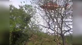Quad Bike Plunge Sends Two into Verona Ravine, Prompting Rescue in Verona, Italy