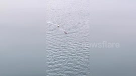 Rescue Saves Five Lives as Vessel Capsizes off Crystal River, FL, USA