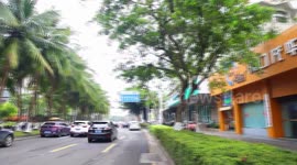 American entrepreneur embraces career success in Hainan FTP