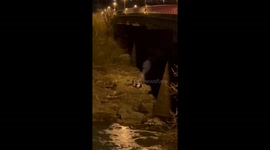 Firework frenzy: nighttime shenanigans by the water