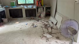 King cobras squat in resident's house to escape heat wave in Thailand