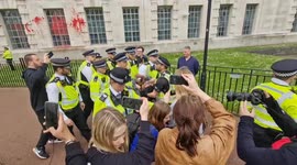 'Everybody here is guilty!': Multiple Palestine Action protesters are arrested as MOD building is targeted with red paint