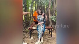 Notorious 'Gropey' orangutan lets hands loose with tourists