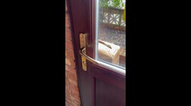 Poorly Placed Package Locks Woman in House
