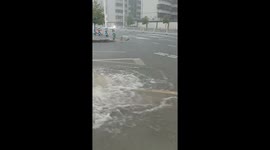 Rat Brave in the Rain: Rodent Boldly Battles Floodwaters