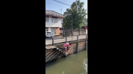 Hero passerby saves pigeon stranded in canal