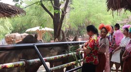 Locals start Songkran water fight festivities at zoo in northern Thailand