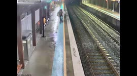 Runaway horse wanders onto train platform