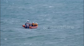 RNLI heroes rescue stranded humpback whale