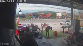 Sidecar motorcycle rolls down carpark onto busy highway