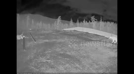 Elk Crossings Crossing Interstate 90 in Snoqualmie Pass, WA, USA