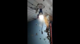 Hundreds of bees fill family's home attracted by light bulb