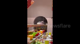 Hot pot train in Jiyuan, China