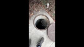 Manhole madness: Skater's thrilling rollercoaster ride in San Diego