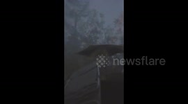US: Severe Storms Slam Southern States, Multiple Tornadoes Reported 2