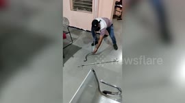 Cobra rescued after slithering into police station in central India