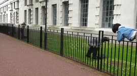 The pro-Palestine group sprayed the British Ministry of Defense with red paint