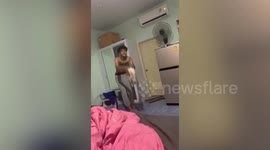 Siamese cat loves being thrown onto bed